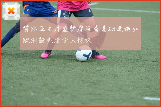 赞比亚主帅盛赞摩洛哥基础设施如欧洲般先进令人惊叹