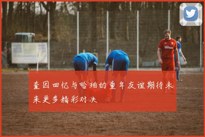 奎因回忆与哈珀的童年友谊期待未来更多精彩对决