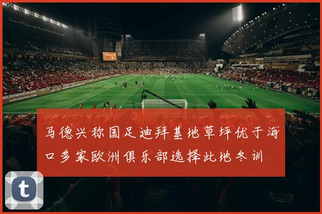 马德兴称国足迪拜基地草坪优于海口多家欧洲俱乐部选择此地冬训